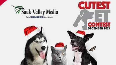Sauk Valley December 2023 Cutest Pet Contest