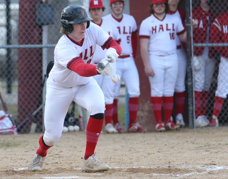 Hall's Mac Resetich lays down a bunt against St. Bede on Monday, March 27, 2023 at Kirby Park in Spring Valley.