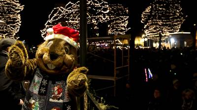 Photos: Woodstock Lighting of the Square 2023
