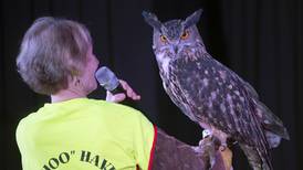 5 Things to Do in Will County: Hoo Haven Owl Program