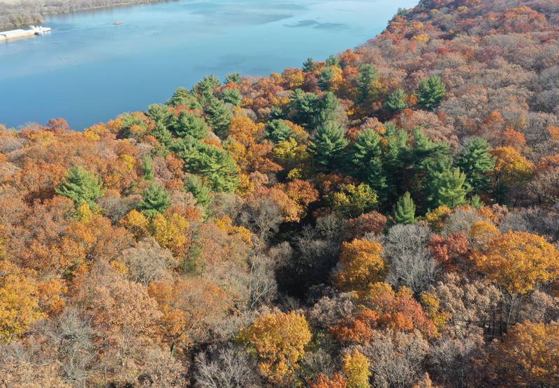 An aerial view of Pontiac Canyon Friday, Nov. 14, 2025 at Starved Rock State Park. Pontiac Canyon is one of the six parts of the park getting an upgrade. Starved Rock State park will receive a total of 37 million upgrade to trail improvement that is expected to get underway this winter and continue through 2026.