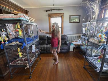 Calamity Jane’s Wildlife Rescue in Amboy facing closure after 29 years 