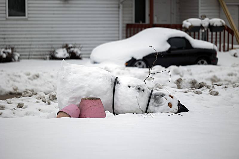 A Dixon snowman goes belly-up Tuesday, Jan. 23, 2024 as temps start to rise.