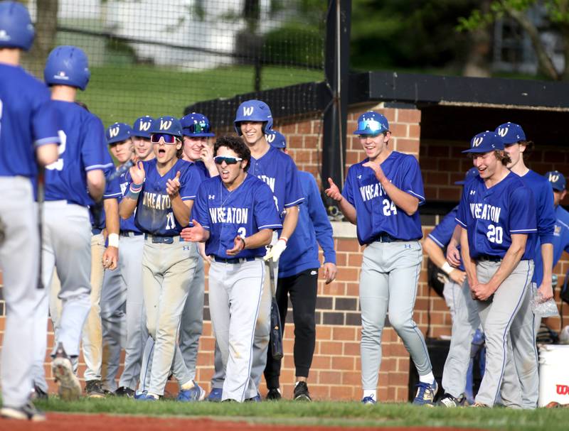 Wheaton North players celebrate a home run by teammate Charlie Strutzel during a game at St. Charles East on Monday, May 15, 2023.