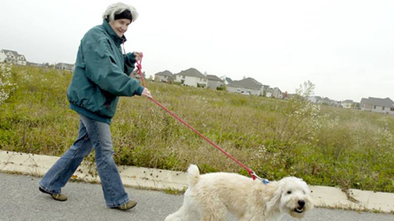 Marty Bradley walks her dog, Gus, past an empty lot in the Blackberry Creek subdivision in Elburn, where she has lived for two years. The number of nuisance property enforcement actions have increased throughout the area in 2009, mainly due to the stagnant housing market and the increase in the number of foreclosures.