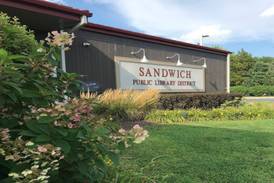 Concert at Sandwich Public Library to support Diaper Closet