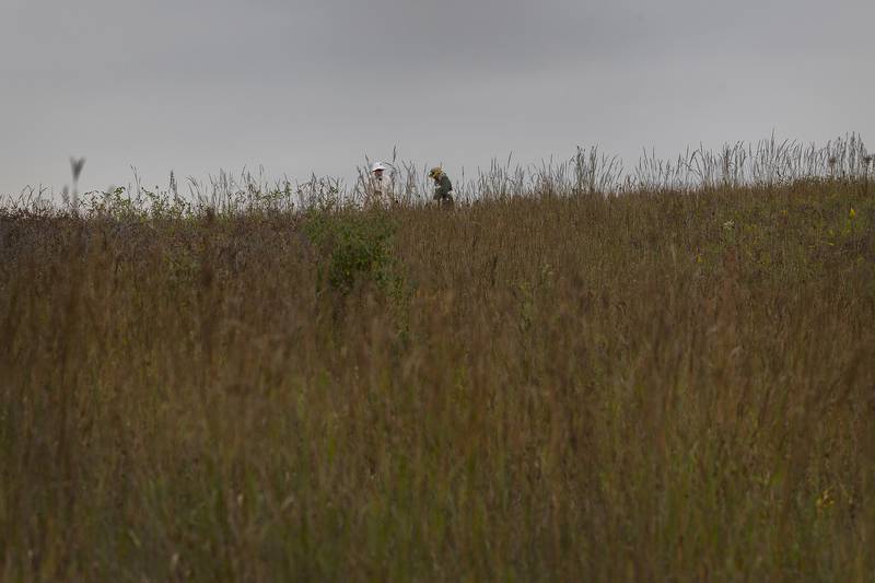 Hikers make their way through the prairie at Nachusa’s Autumn on the Prairie Saturday, Sept. 20, 2025.