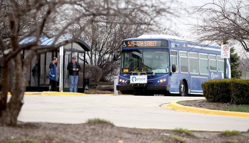 A Pace bus pulls up to the Kane County Judicial Center this month.
