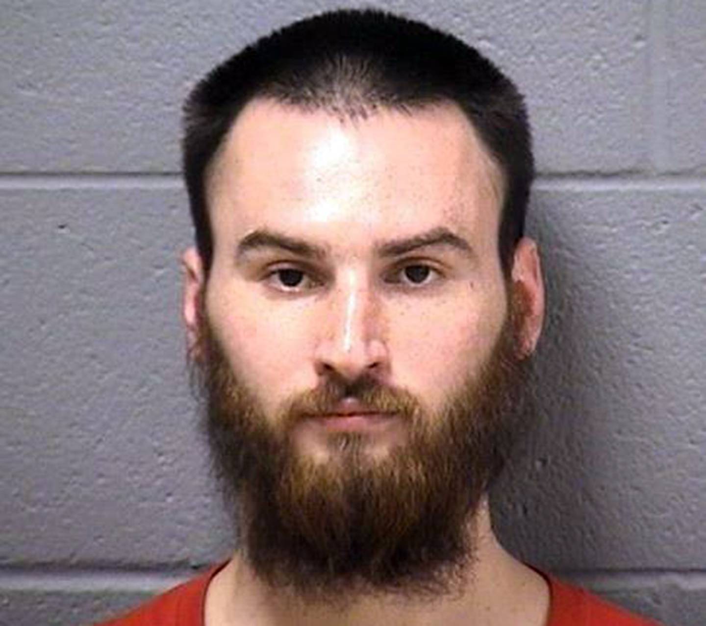 Gardner man pleads guilty in opioid death of pregnant woman Shaw Local