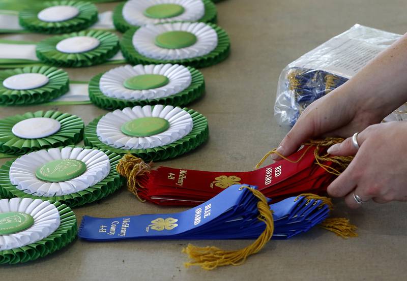 Ribbons for the winners of the 4-H Goat Showmanship competition are placed on a table during the opening day of the McHenry County Fair on Tuesday, July 29, 2025. The fair runs through Sunday at the fairgrounds in Woodstock.