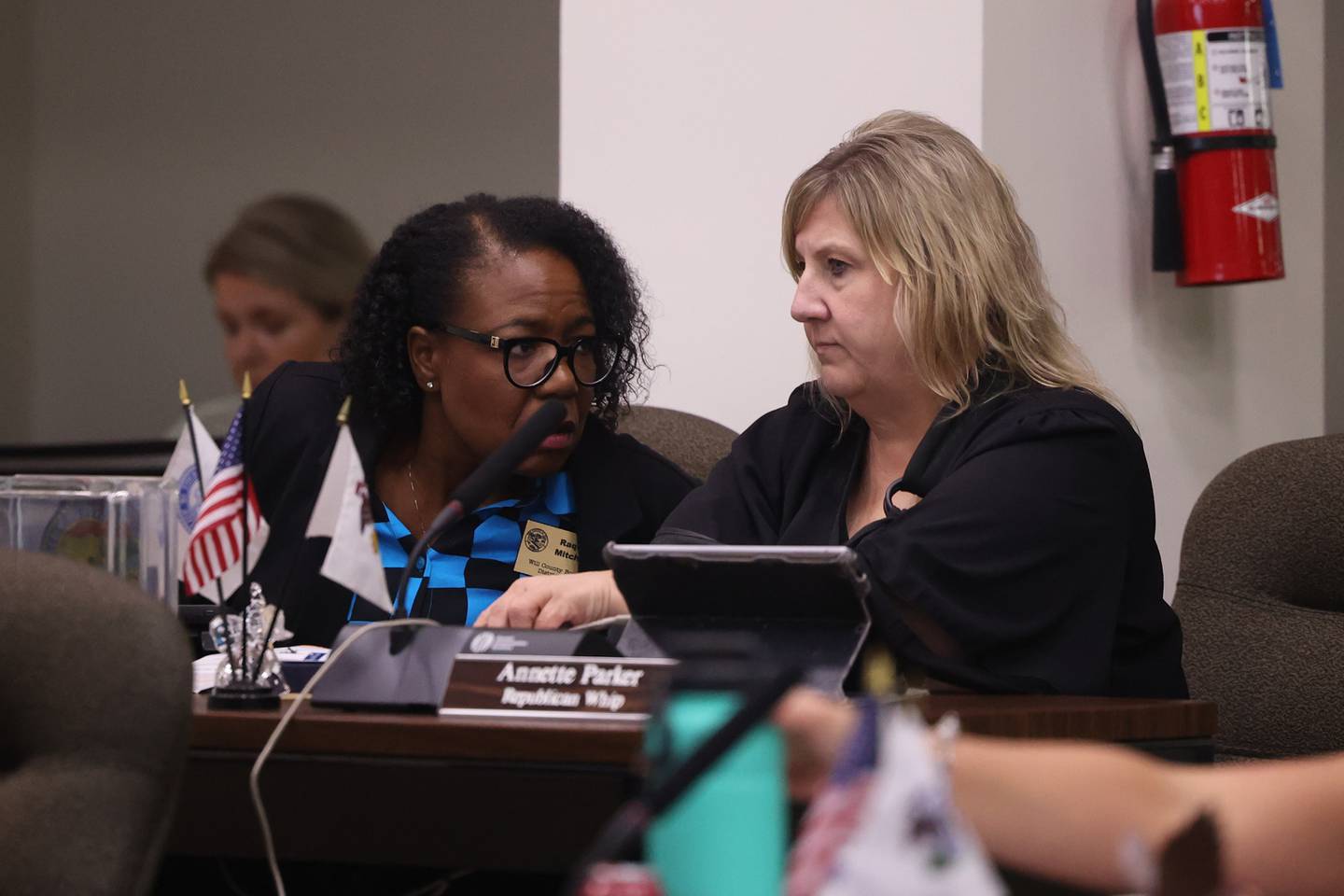 Will County board members Raquel Mitchell, left, and Annette Parker converse during the Will County board meeting on Thursday, Aug. 17, 2023 in Joliet.