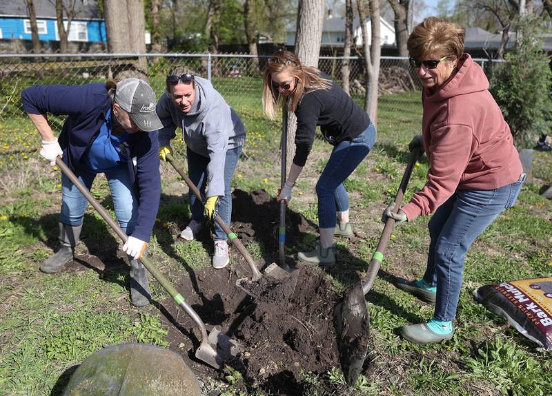 Colleen Parks, (L-R) clincal director at Elder Care Services, Tara Russo, executive director at Elder Care, along with volunteers Katlynn Lee and Elaine Davis dig a hole for a tree Tuesday, April 21, 2026, during the event at Elder Care Services in DeKalb. Several trees were planted at the location to kick off the DeKalb Township’s 250 Trees for Tomorrow initiative.