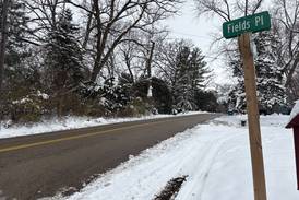 Ottawa advances more Fields Hill annexations