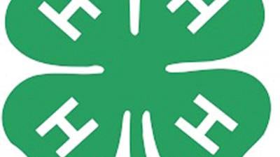 Marshall–Putnam 4–H to offer holiday centerpiece workshop Dec. 20 in Henry