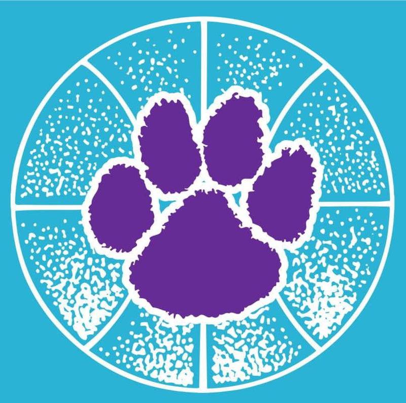 Hampshire girls basketball logo