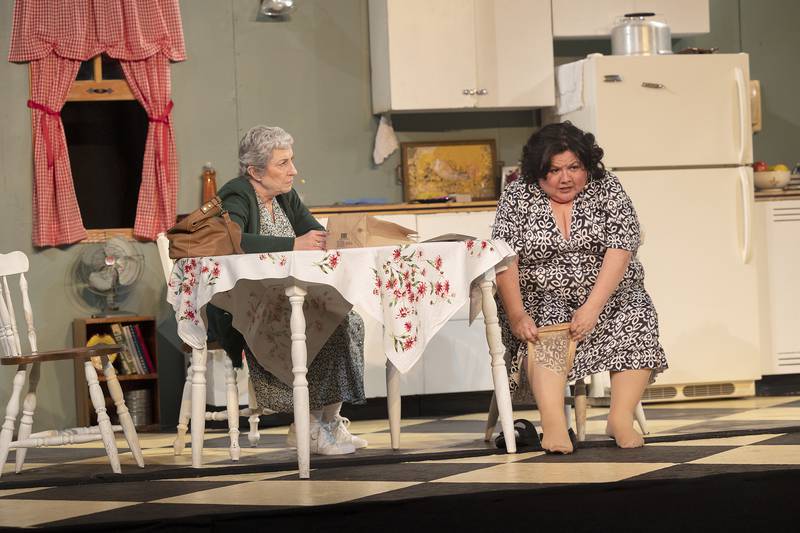 Mary Cheatwood as Lenny (left) and  Ranae Taylor as Babe Botrelle rehearse a scene for PAG’s “Crimes of the Heart” on Tuesday, April 29, 2025, in Mt. Morris. Performances are at 7 p.m. May 2 and 3 and at 2 p.m. May 4 at the Allure of Pinecrest Grove Theater at 500 Evergreen Lane in Mt. Morris.