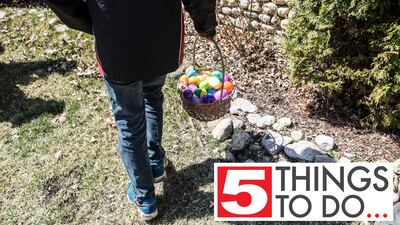 5 things to do in McHenry County: So many egg hunts!
