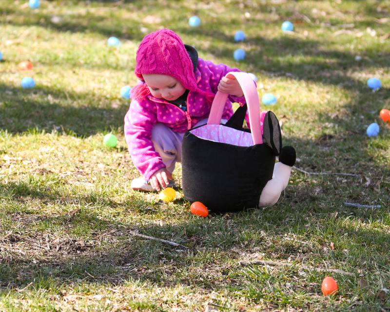Ruby Doerfler, 2, of Cortland picks up eggs during during the DeKalb Park District's annual children's egg hunt on Saturday, March, 23, 2024, held at Hopkins Park, 1403 Sycamore Road in DeKalb.