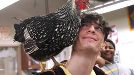 Photos: DeKalb High School FFA holds Barnyard Zoo