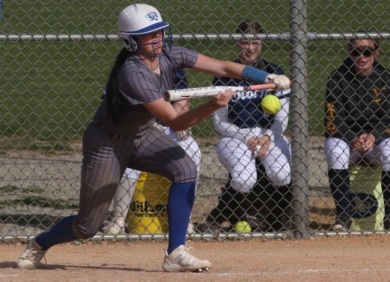 Princeton's Keely Lawson lays down a bunt against Bureau Valley on Thursday, April 25, 2024 at Bureau Valley High School.