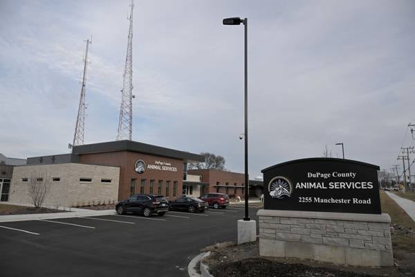 DuPage Animal Services celebrates $1 million gift as shelter is ‘overflowing’ with cats