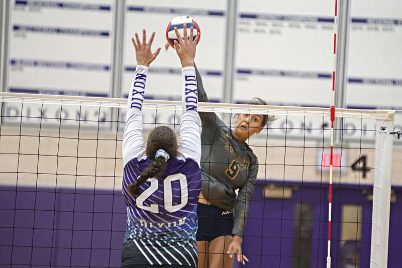 Photos Sterling at Dixon volleyball Shaw Local