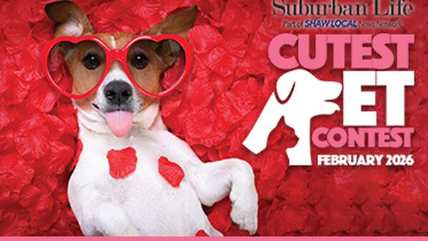 Suburban Life February Cutest Pet Contest