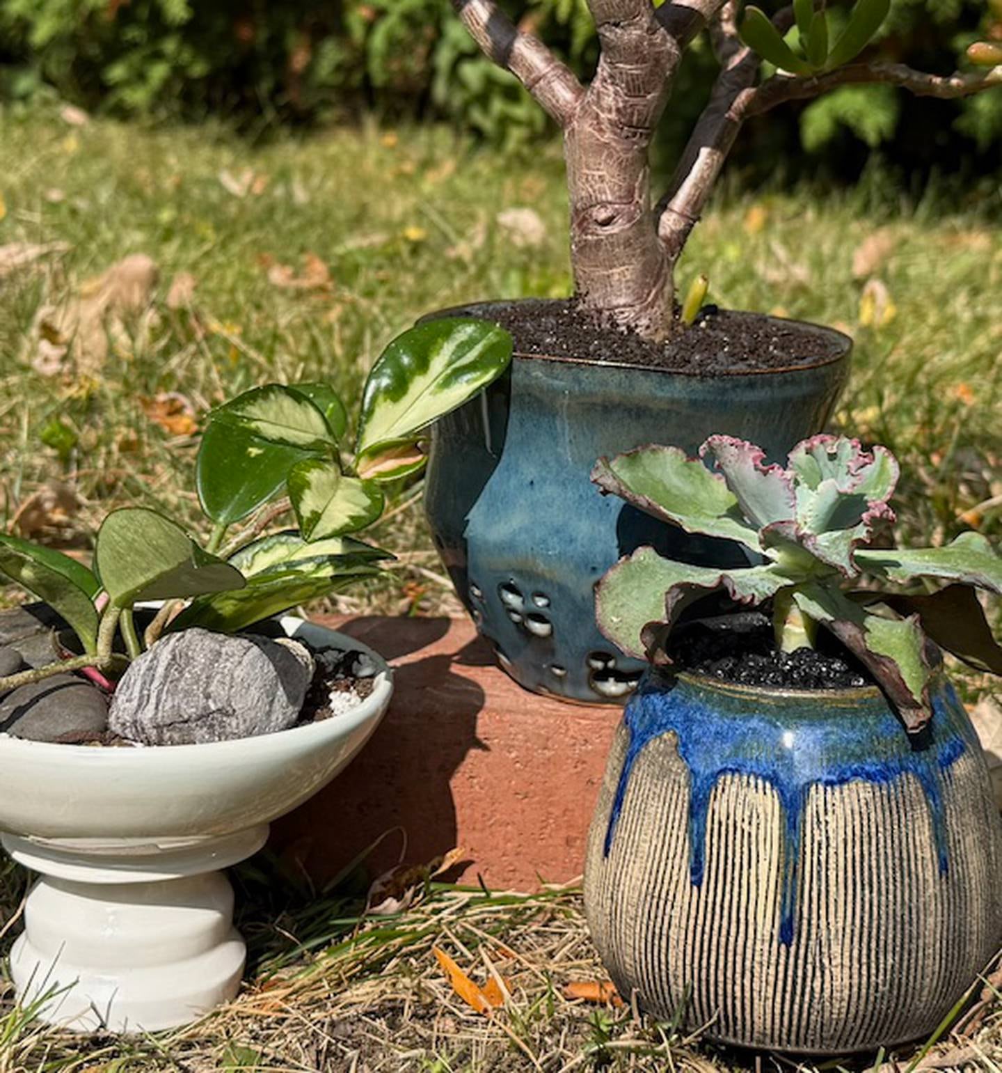Faraone has found a way to merge her passion for ceramics with her love of plants through a collection of two-piece self-watering planters.