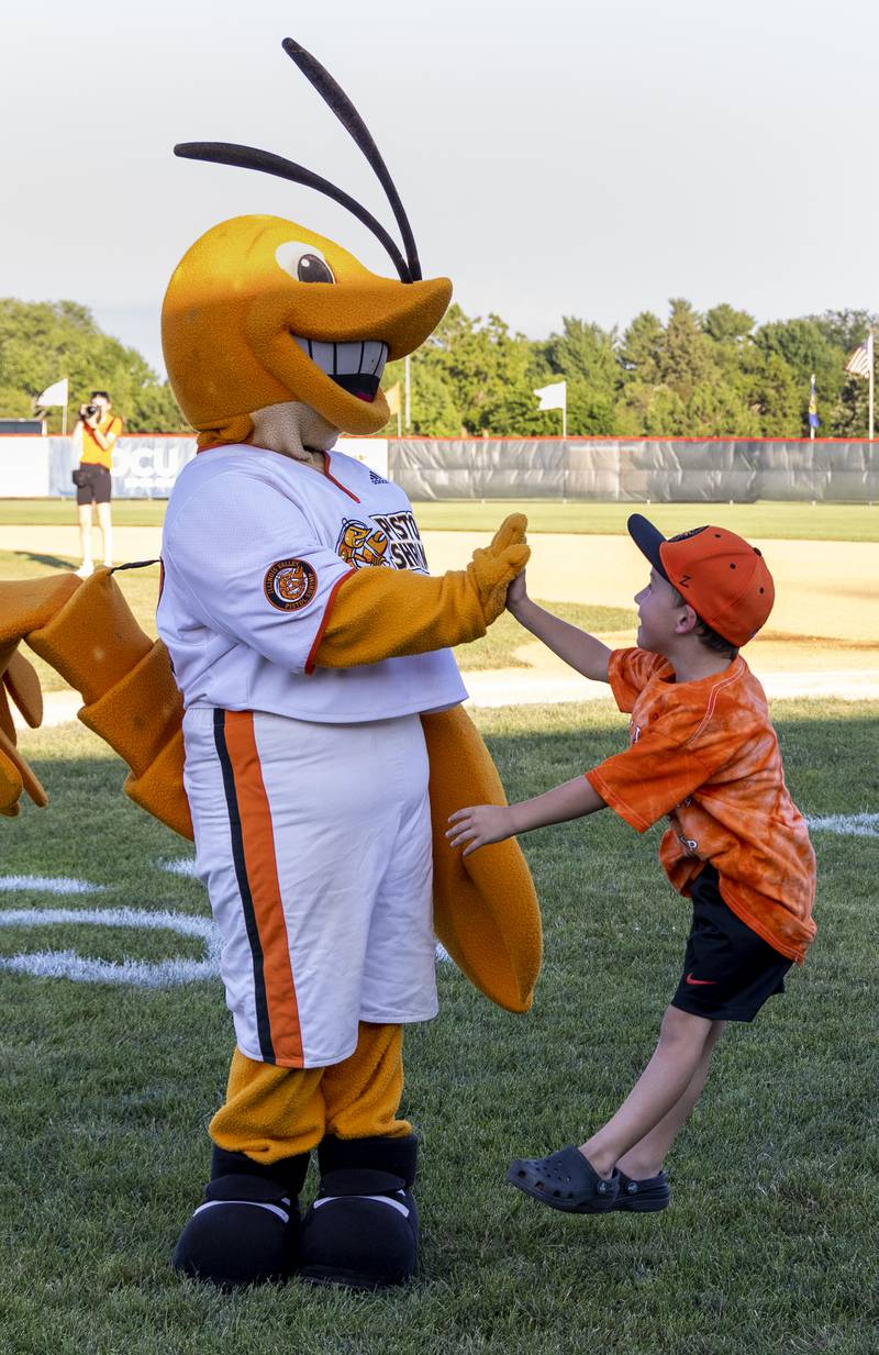 Daxton Blair, 4, of Ladd, takes a running leap to high five SouthClaw Sam athe regular season home finale on Friday, Aug. 5, 2022 in Peru. The Pistol Shrimp beat the Clinton LumberKings 10-9 in 11 innings to secure a spot in the Prospect League playoffs.
