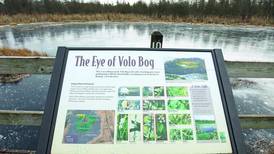 Volo Bog to host Ghost Stories Plus program