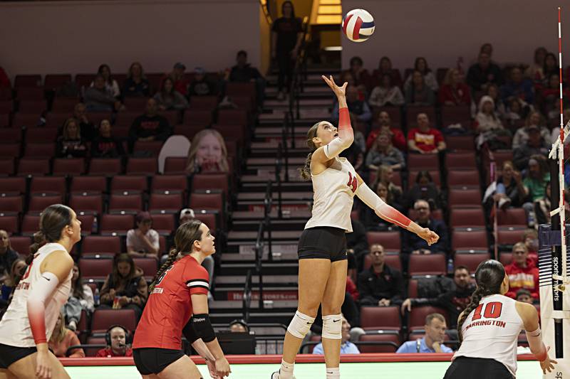 Barrington’s Whitney Mall plays the ball over the net against Mother McCauley in the 4A state semifinal Friday, Nov. 10, 2023 at CEFCU Arena in Normal.