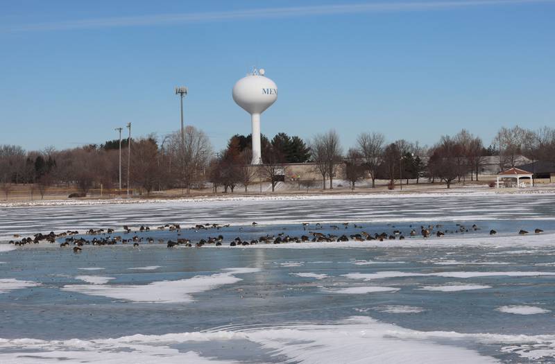 Canada geese rest on a frozen Lake Mendota on Thursday, Jan. 29, 2026 in Mendota. The lake is nearly frozen over.