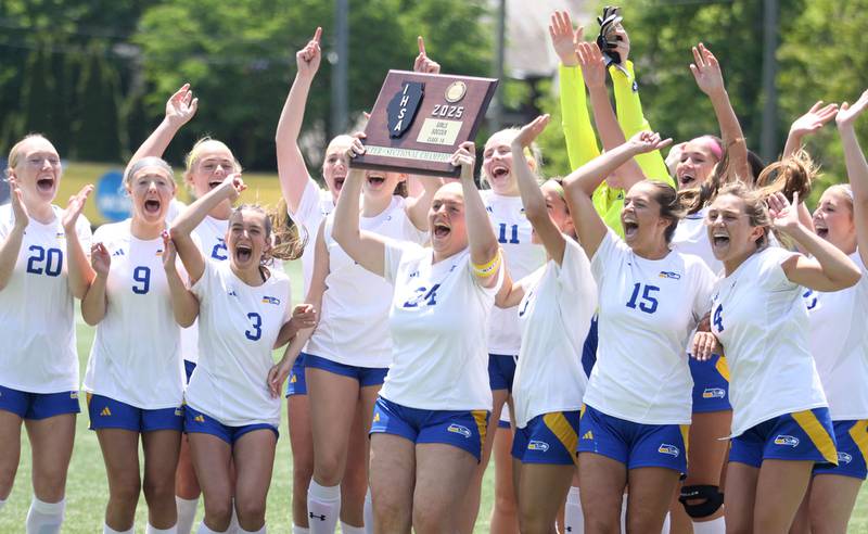 Johnsburg’s Skyhawks celebrate a win over Willows Academy in IHSA Class 1A Supersectional soccer action at Dominican University in River Forest on Saturday, May 31, 2025.