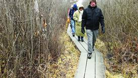 Volo Bog State Natural Area to host annual WinterFest