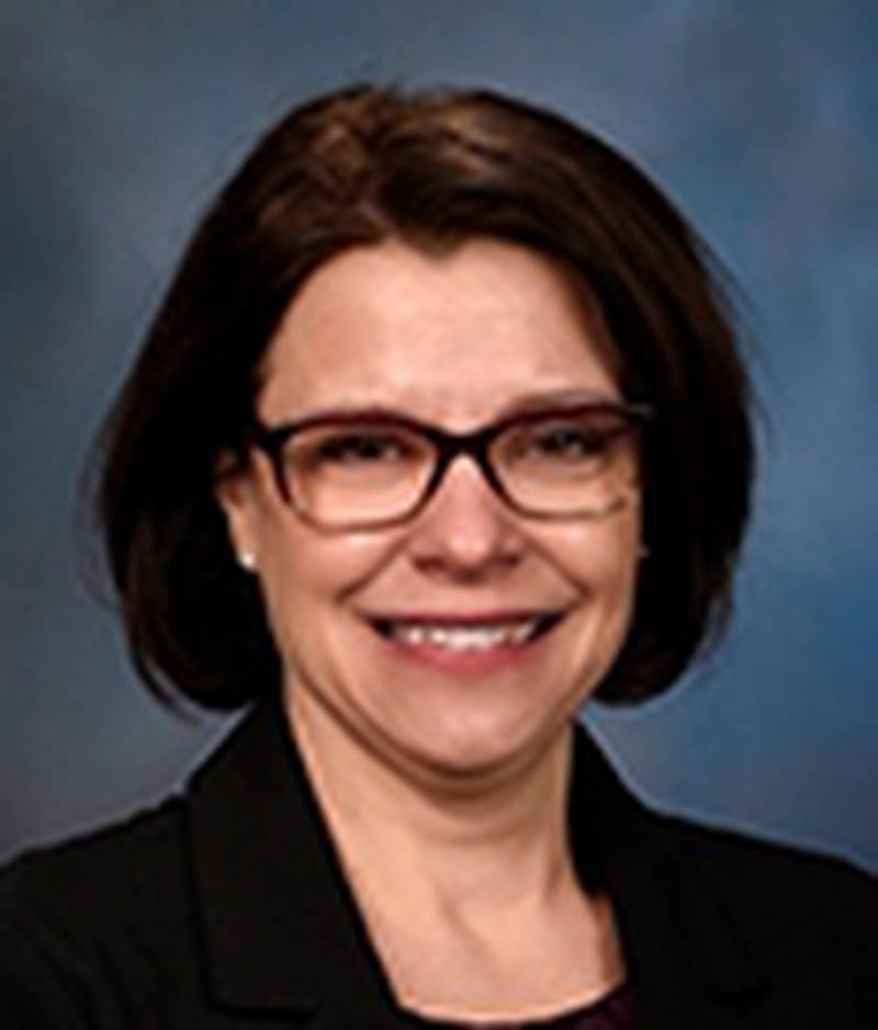 State. Rep. Suzanne Ness, D-Crystal Lake