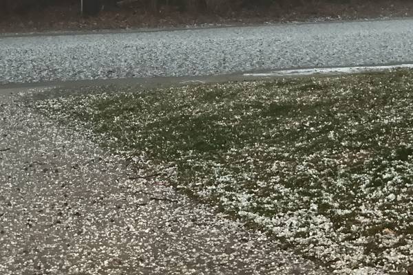 ‘We dodged a bullet’: Putnam, La Salle counties escape overnight storms with little reported damage