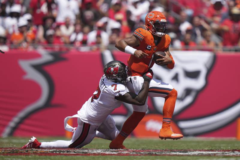 Tampa Bay Buccaneers linebacker Shaquil Barrett sacks Chicago Bears quarterback Justin Fields, Sunday, Sept. 17, 2023, in Tampa, Fla.