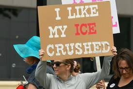 Photos: No Kings Protest in Lisle