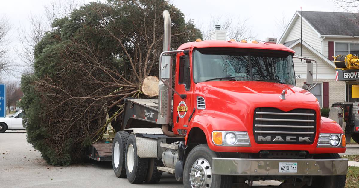 Plainfield family donates their tree for Joliet’s 2022 Christmas tree