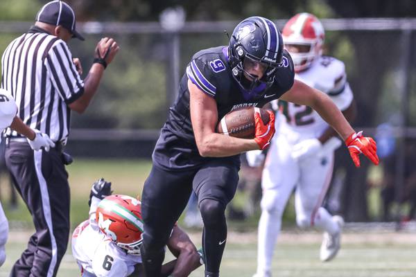 DuPage and suburban Cook County Week 2 IHSA football previews
