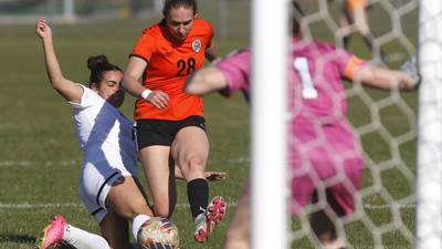 Photos: Huntley vs. Crystal Lake Central girls soccer