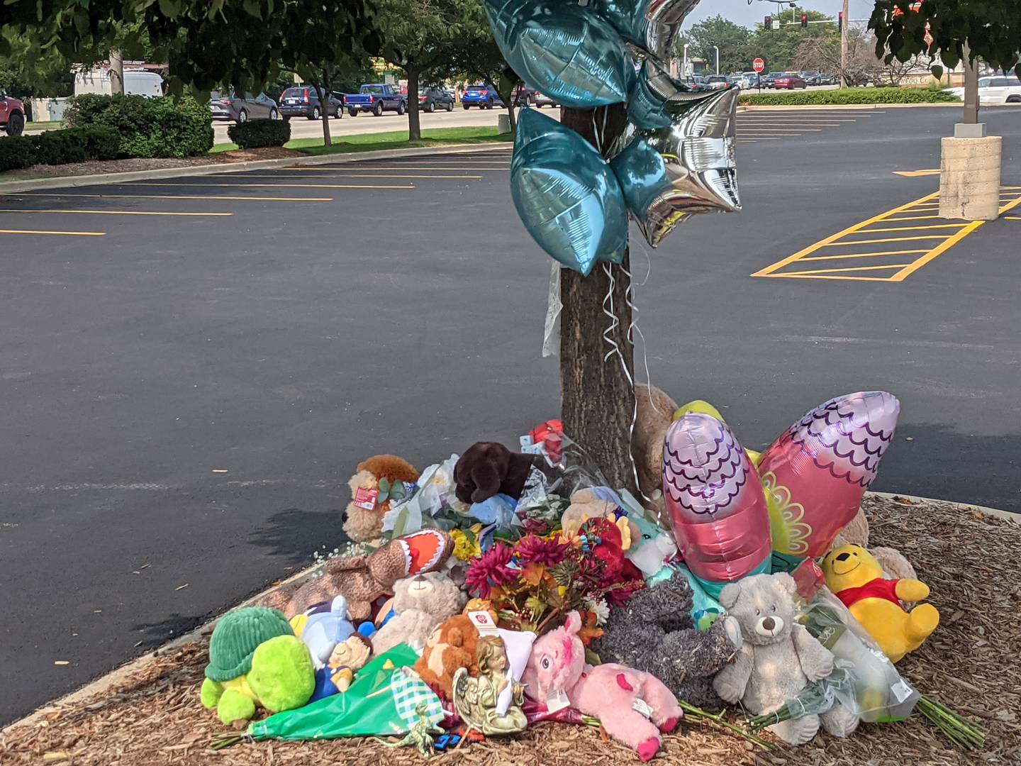 A memorial has been set up in front of the Portillo's restaurant in Oswego where a 2-year-old boy was killed when a car drove into the restaurant Wednesday, July 30, 2025.