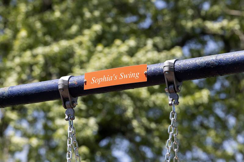 The newly dedicated Sophia’s Swing is just the first in improvements that are coming to EC Smith Park in Dixon. A $120,000 grant is allowing new equipment to be installed in the park this fall.