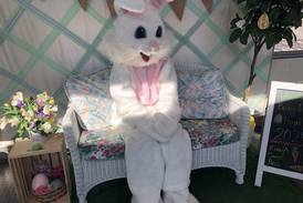 Mendota Area Chamber of Commerce Easter Hop