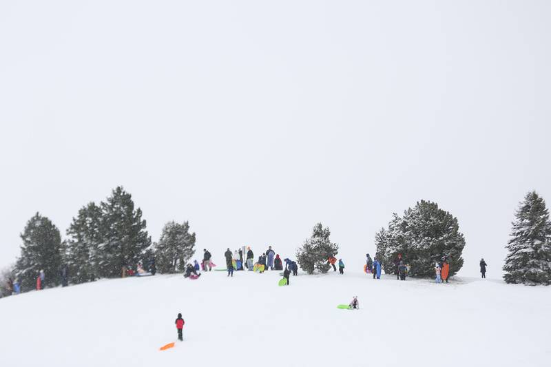 Sledders enjoy a snowy day on Sunday, Jan. 31, 2021, at Cene's Four Seasons Park in Shorewood, Ill. Nearly a foot of snow covered Will County overnight, resulting in fun for some and challenges for others.