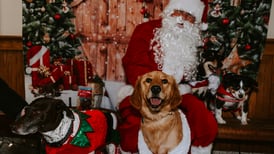 Bring your furry friend to Ugly Sweater ‘Pawrade’ in Lemont