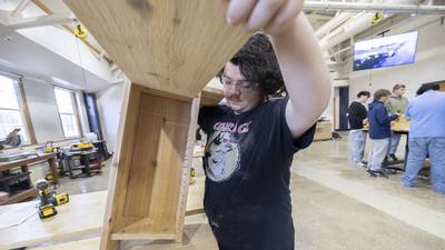 Birds of a feather work together in Sterling