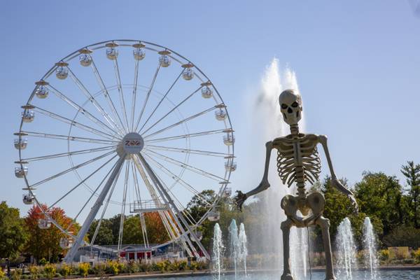 Boo! at the Zoo, BOOs & Brews, Wine in the Wild events at Brookfield Zoo in October