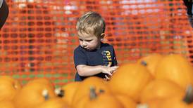 Photos: Sterling Park District's Pumpkin Dash