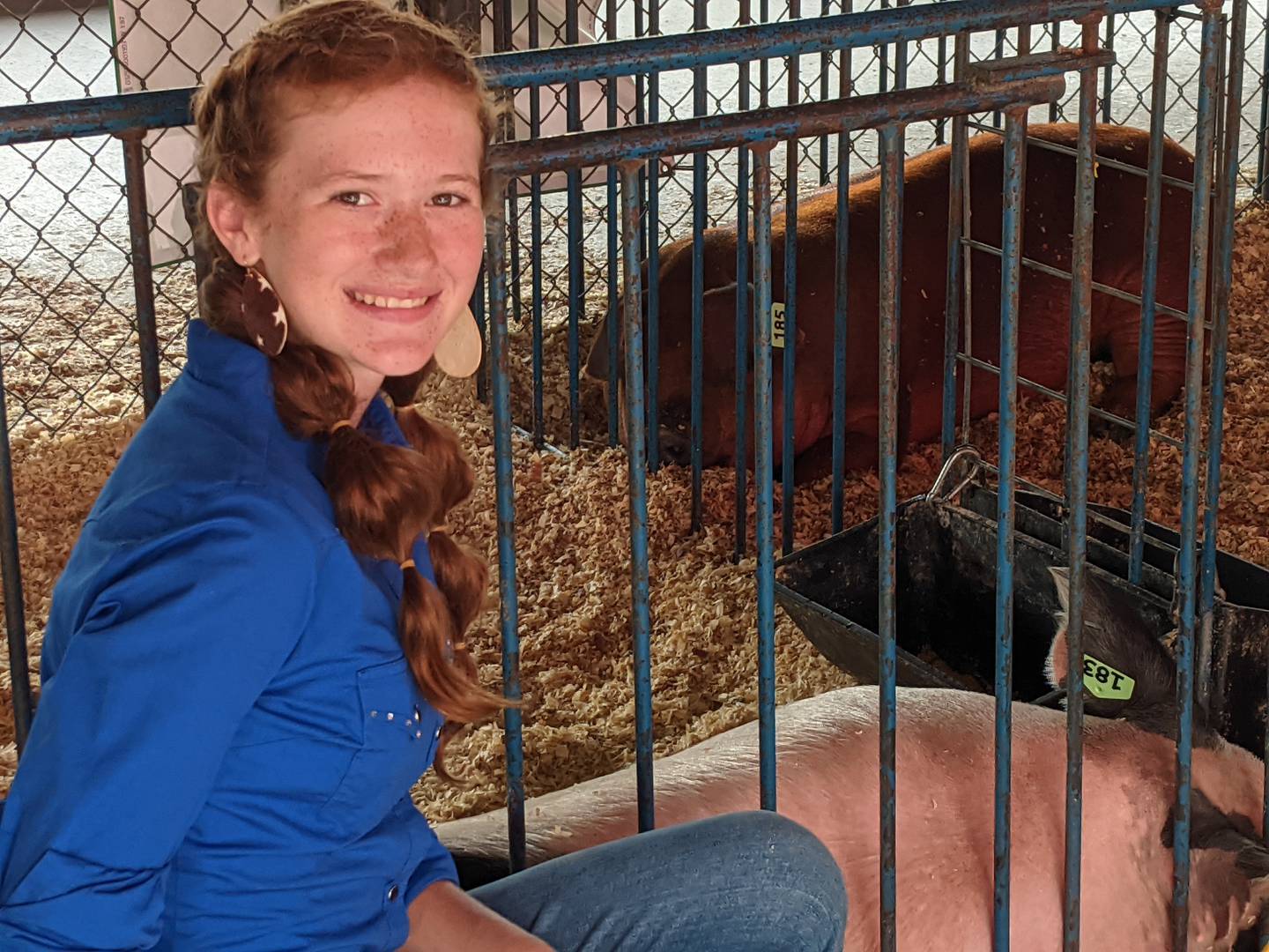 Bella Herst, 12, of Burlington, was showing her two pigs at the Kane County Fair on Sunday.